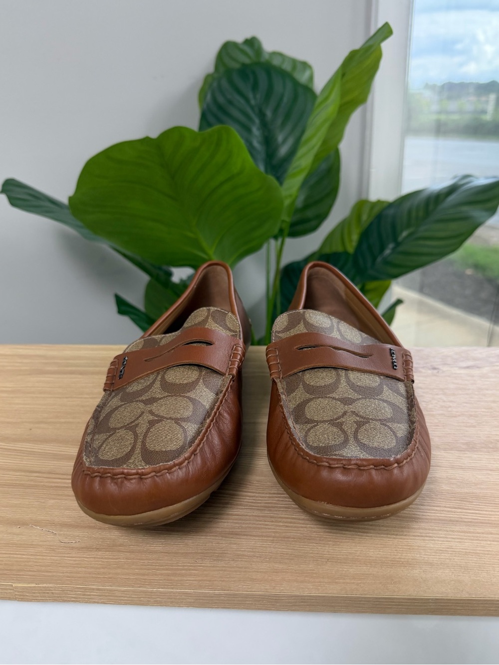 Coach Mott Driver Tan & Brown Signature Canvas Penny Loafers SZ 10D|43 - Picture 2 of 7